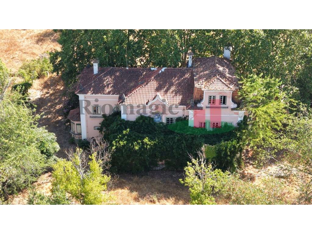 Quinta T5+ ***RIOMAGIC*** - Grande imagem: 2/60