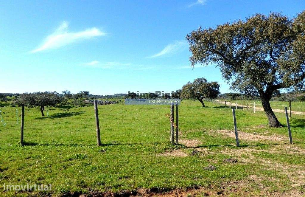 3.500.000m2 Herdade próxima Alqueva. Portugal, Évora, Portel. - Grande imagem: 5/9