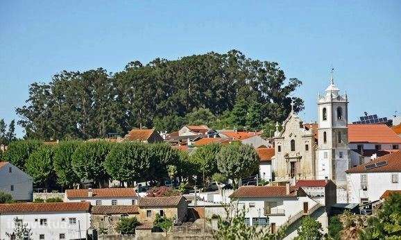 Terreno urbano de 27.340 m² em Ança, Cantanhede - Full image: 4/7