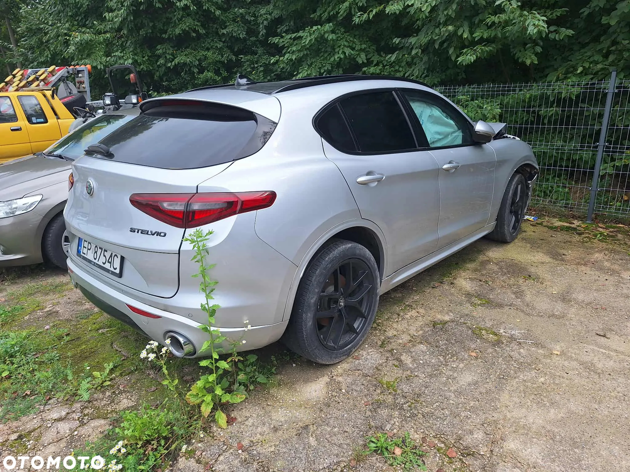 Alfa Romeo Stelvio 2.0 Turbo Veloce Q4 - 3