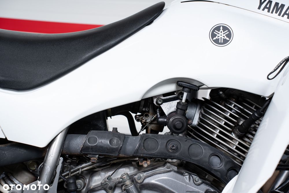 Yamaha Raptor - 19