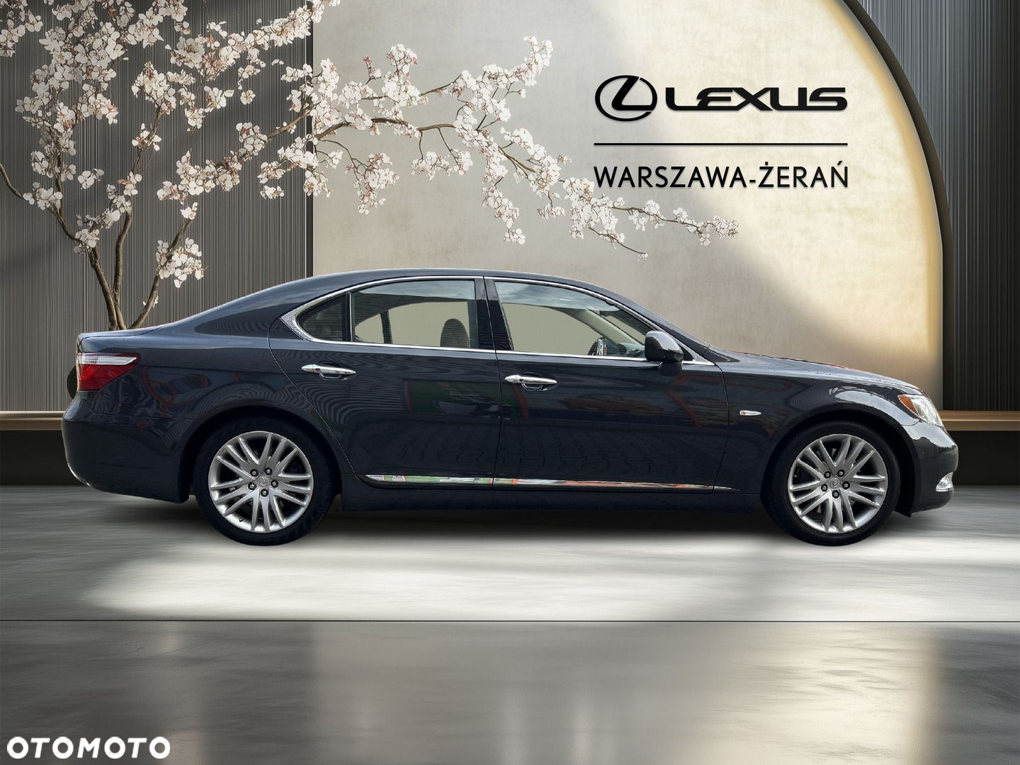 Lexus LS 460 Prestige - 8