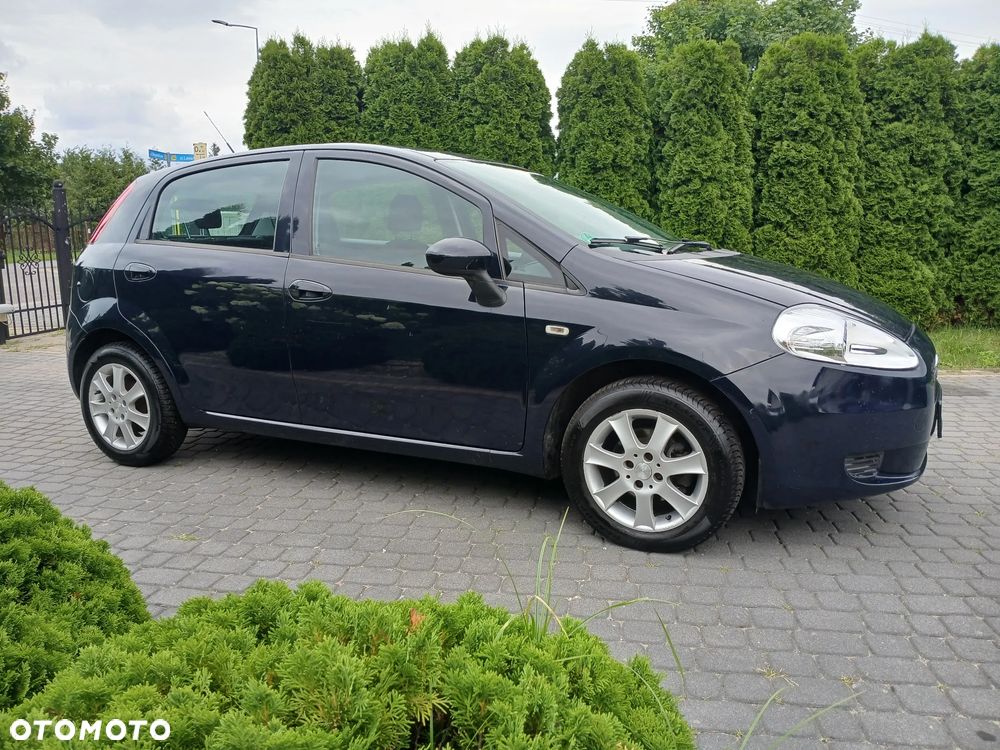 Fiat Punto - 13