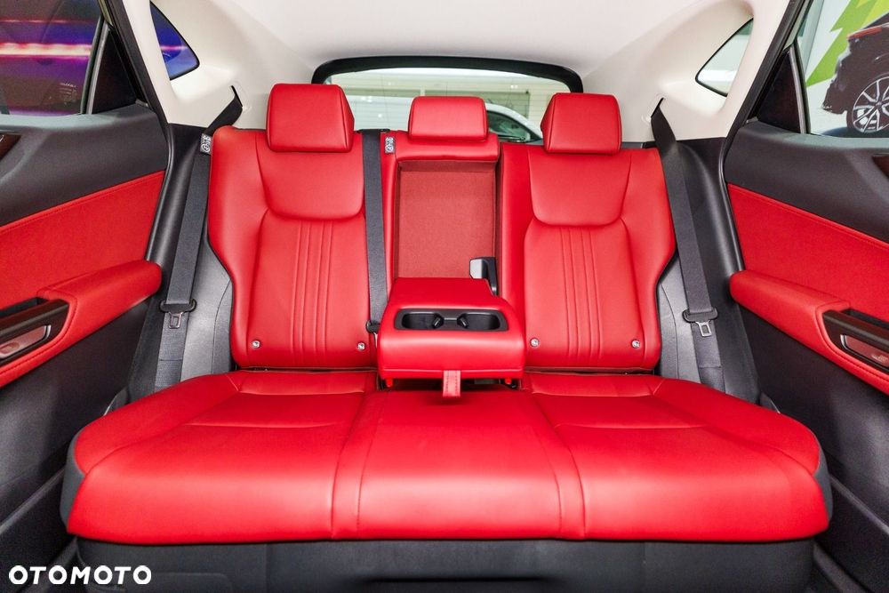 Lexus NX - 22