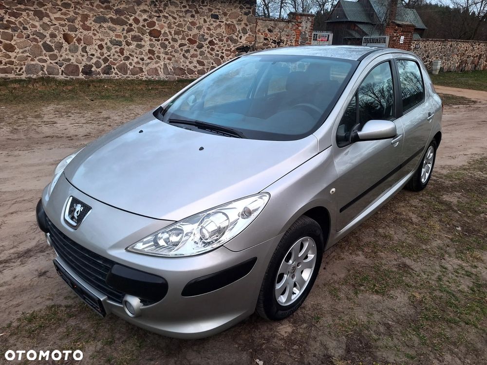 Peugeot 307 Break 110 Premium - 9
