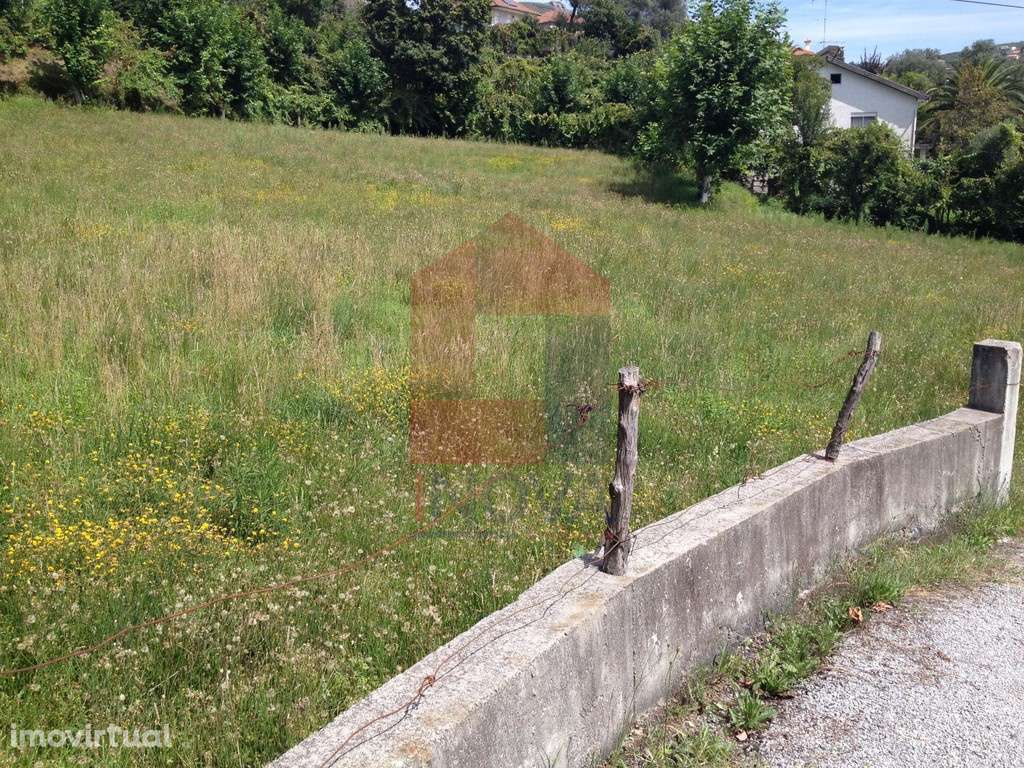 Terreno agrícola, Barros - Grande imagem: 2/12