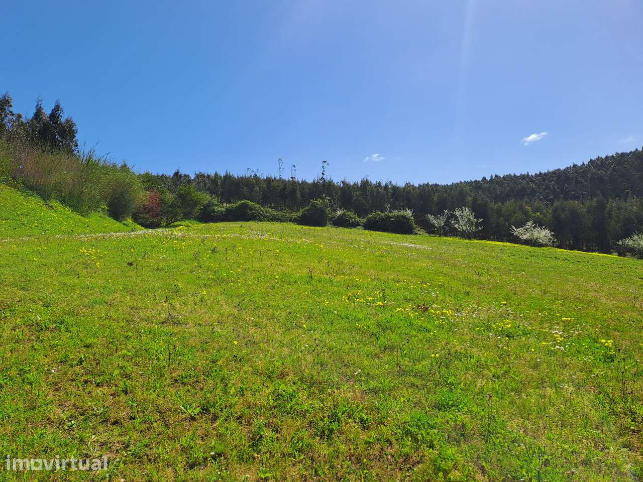 Terreno Agrícola com 8.440 m² no Vimeiro – Lourinhã - Grande imagem: 4/20