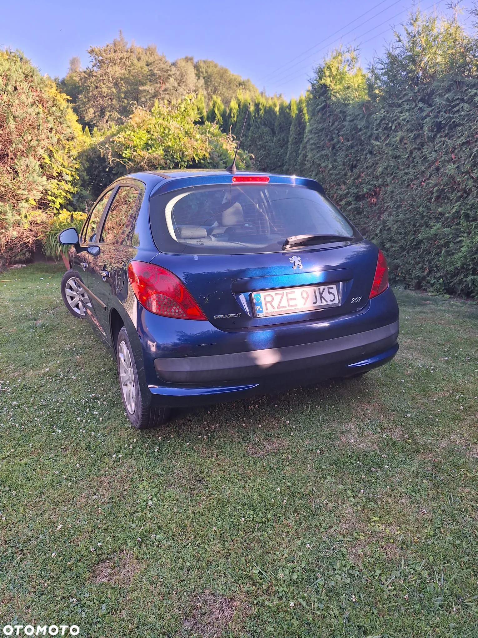 Peugeot 207 - 8