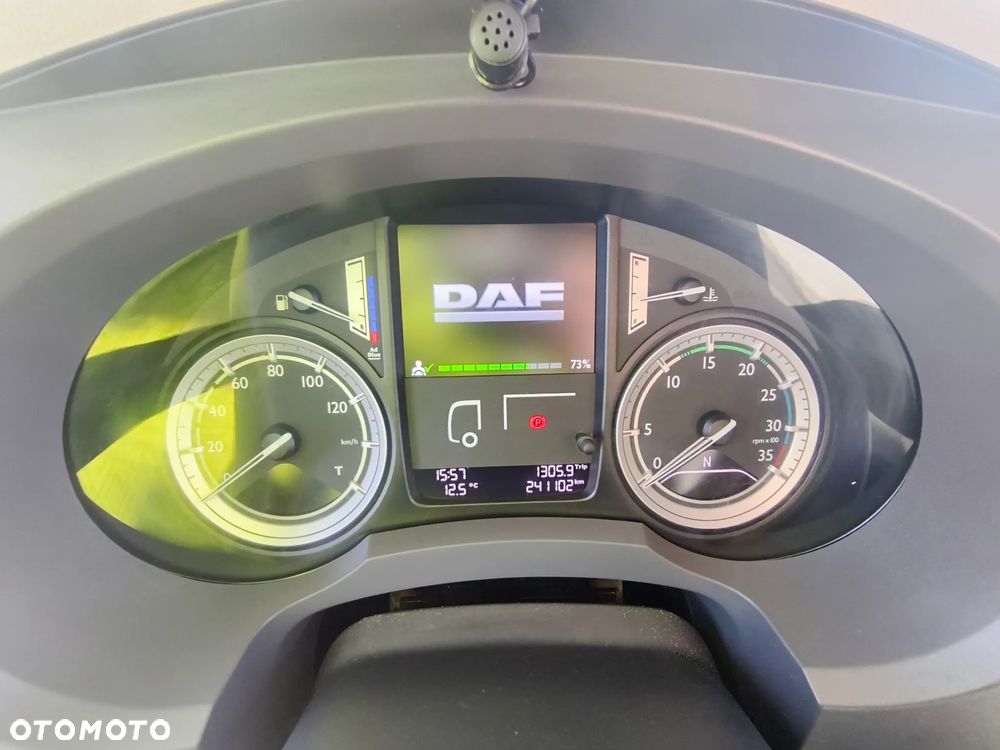 DAF DAF LF 250 / FA 290 / Izoterma / Winda / Holandia / Przebieg 241000 km /18 palet - 16