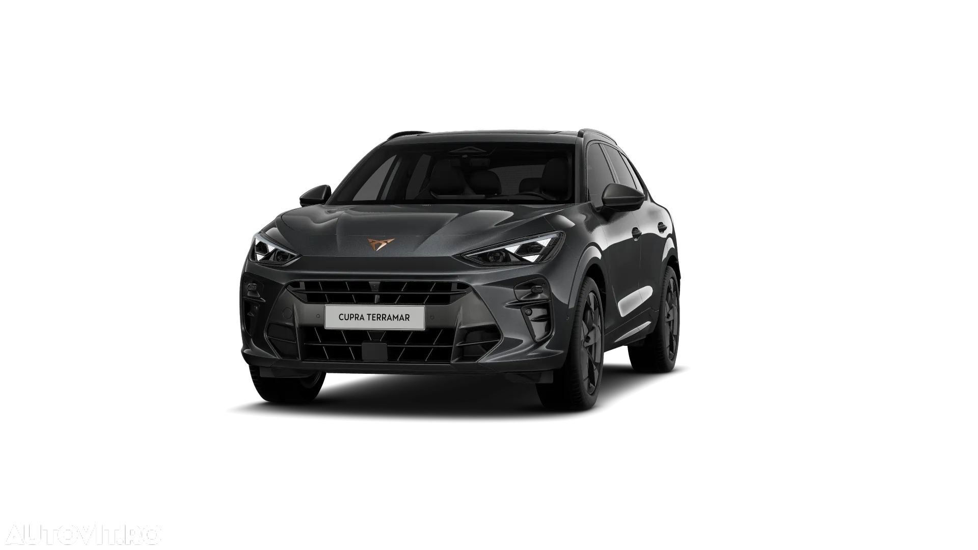 Cupra Terramar - 5