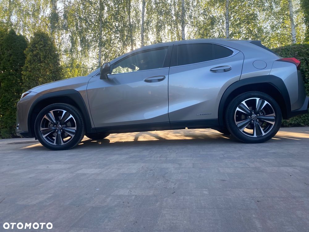 Lexus UX 250h GPF Business Edition 2WD - 9