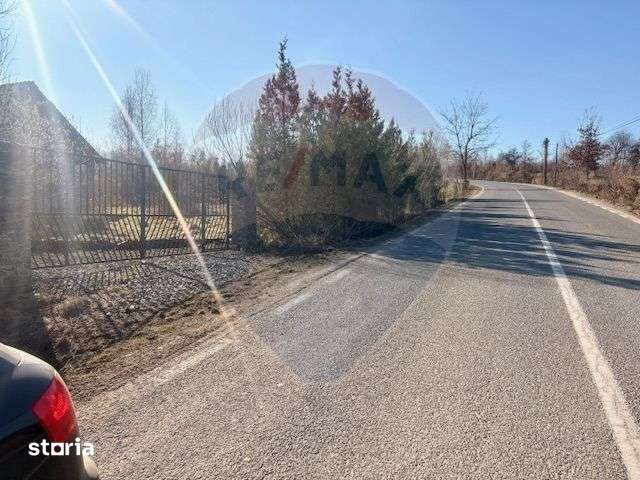 Casă traditionala+TEREN 6.000 mp - Imagine principală: 4/6