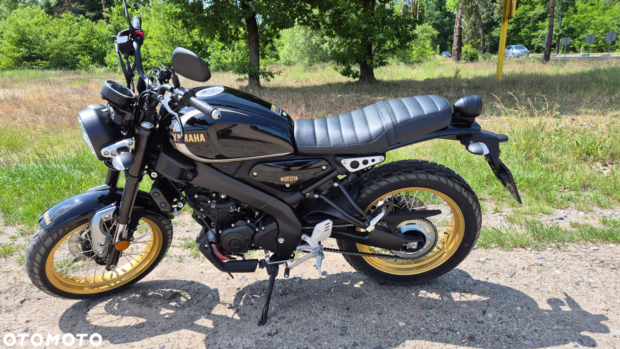 Yamaha XSR - 8