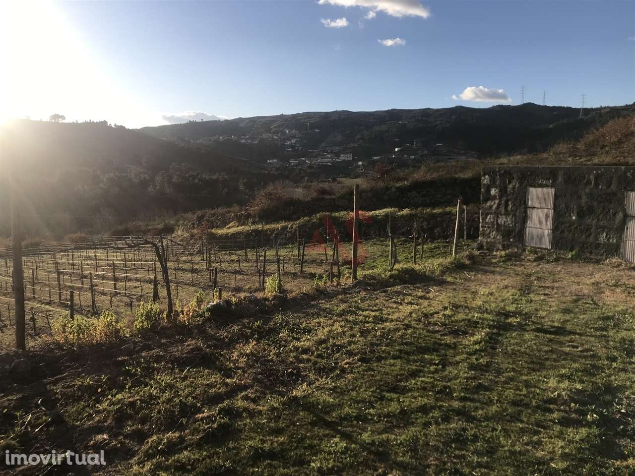 Terreno com 16.635m2 em Gôve, Baião. - Grande imagem: 3/4