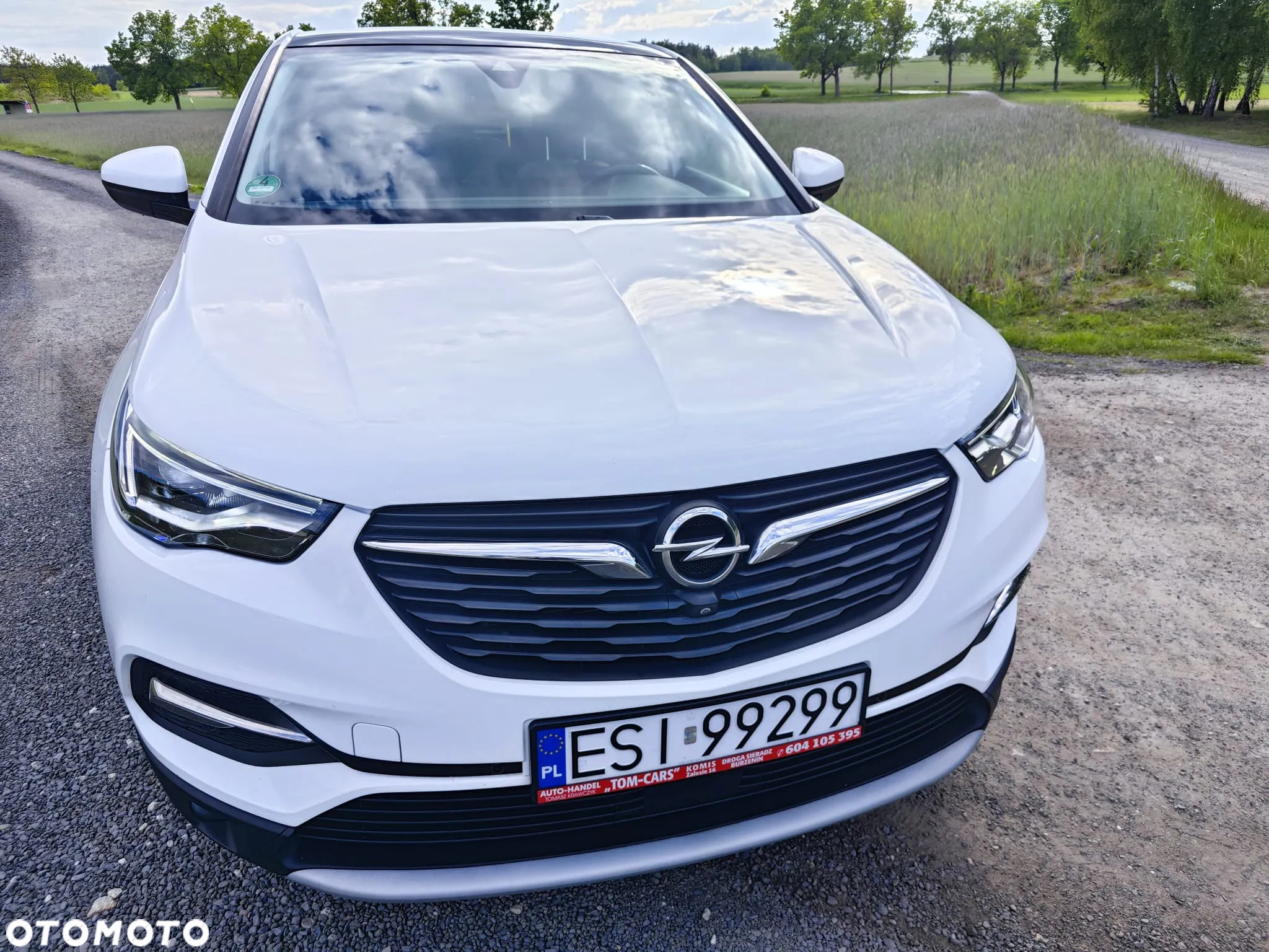Opel Grandland X 2.0 D Start/Stop Automatik Business INNOVATION - 10