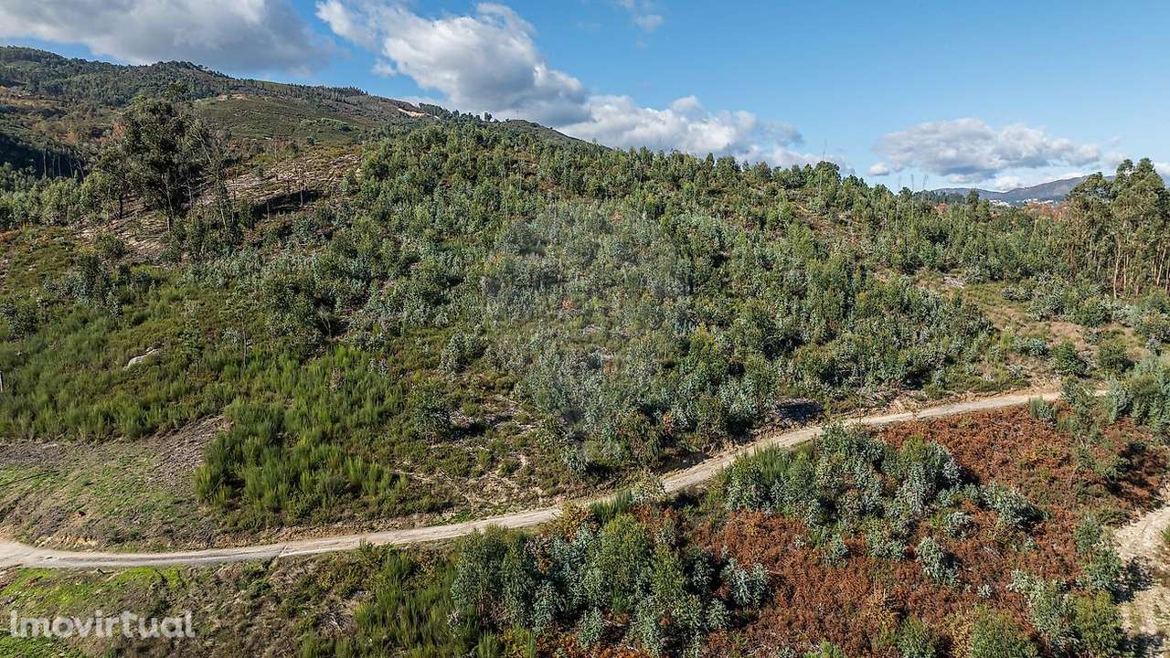 Moradia T0 para venda - Grande imagem: 4/18