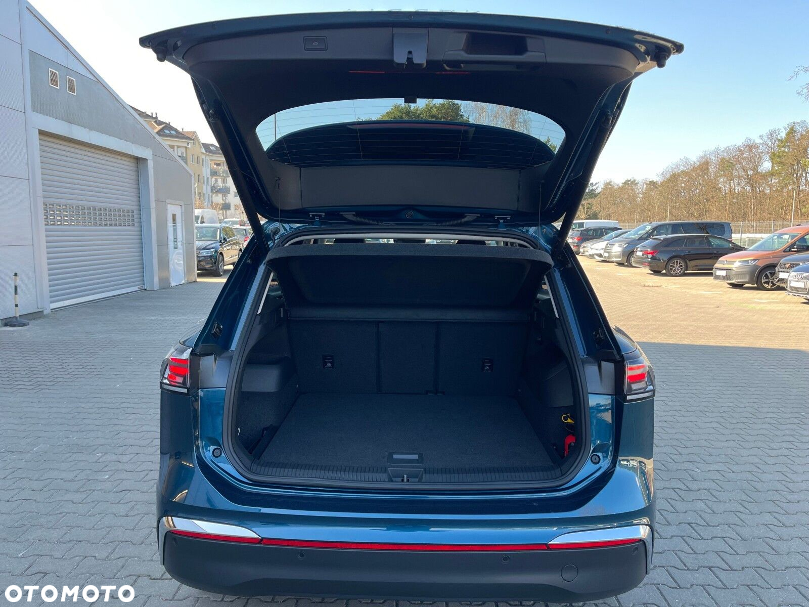 Volkswagen Tiguan - 19