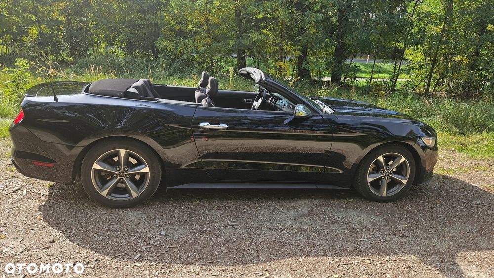Ford Mustang - 7