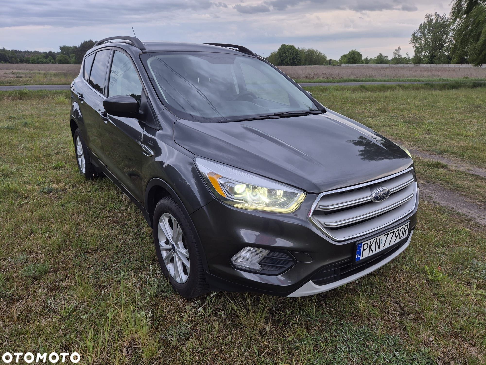Ford Escape - 1