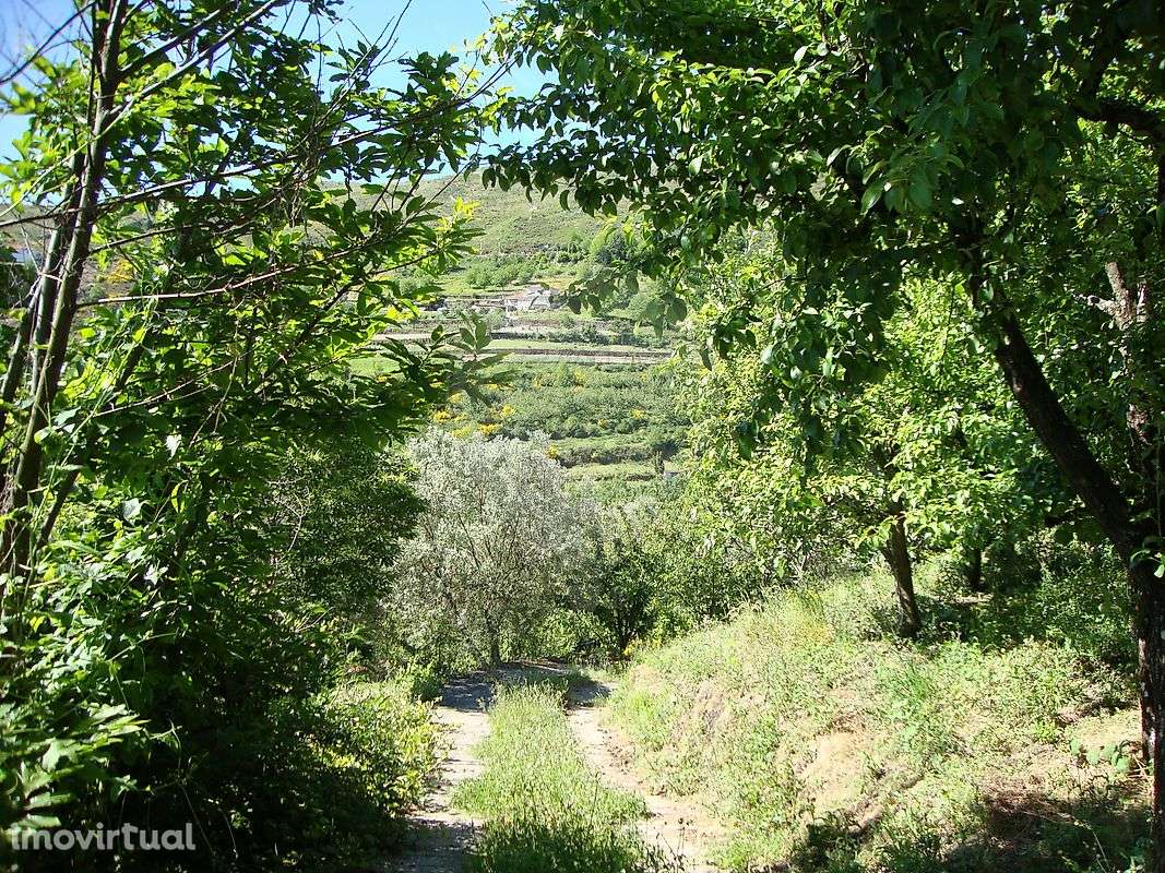 Terreno  para venda - Grande imagem: 4/8