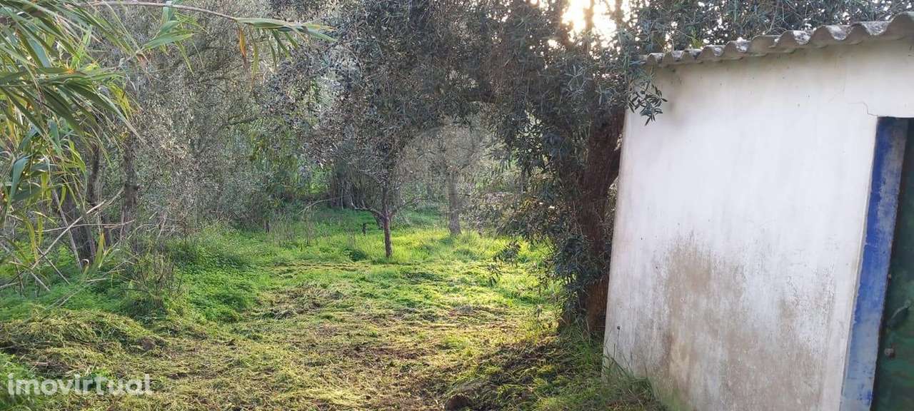 Moradia T3 para venda - Grande imagem: 4/6