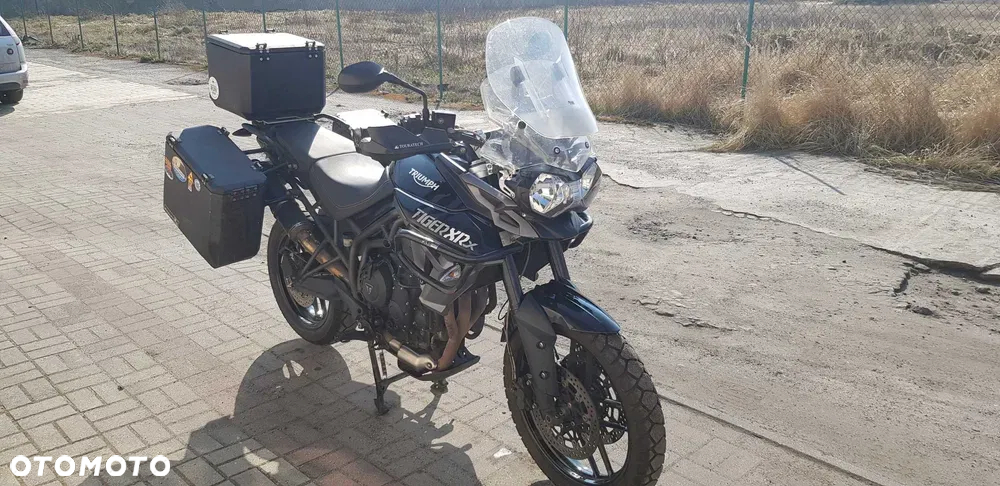 Triumph Tiger