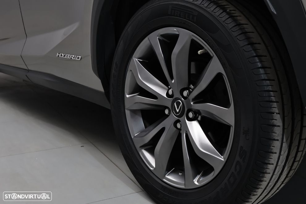 Lexus NX 300h F Sport+ 4WD - 14
