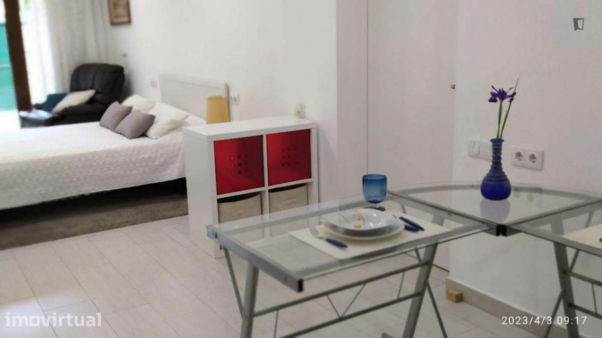 Estúdio - localizado em Estoril Lisbon - Grande imagem: 3/10