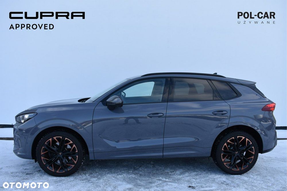 Cupra Terramar - 4