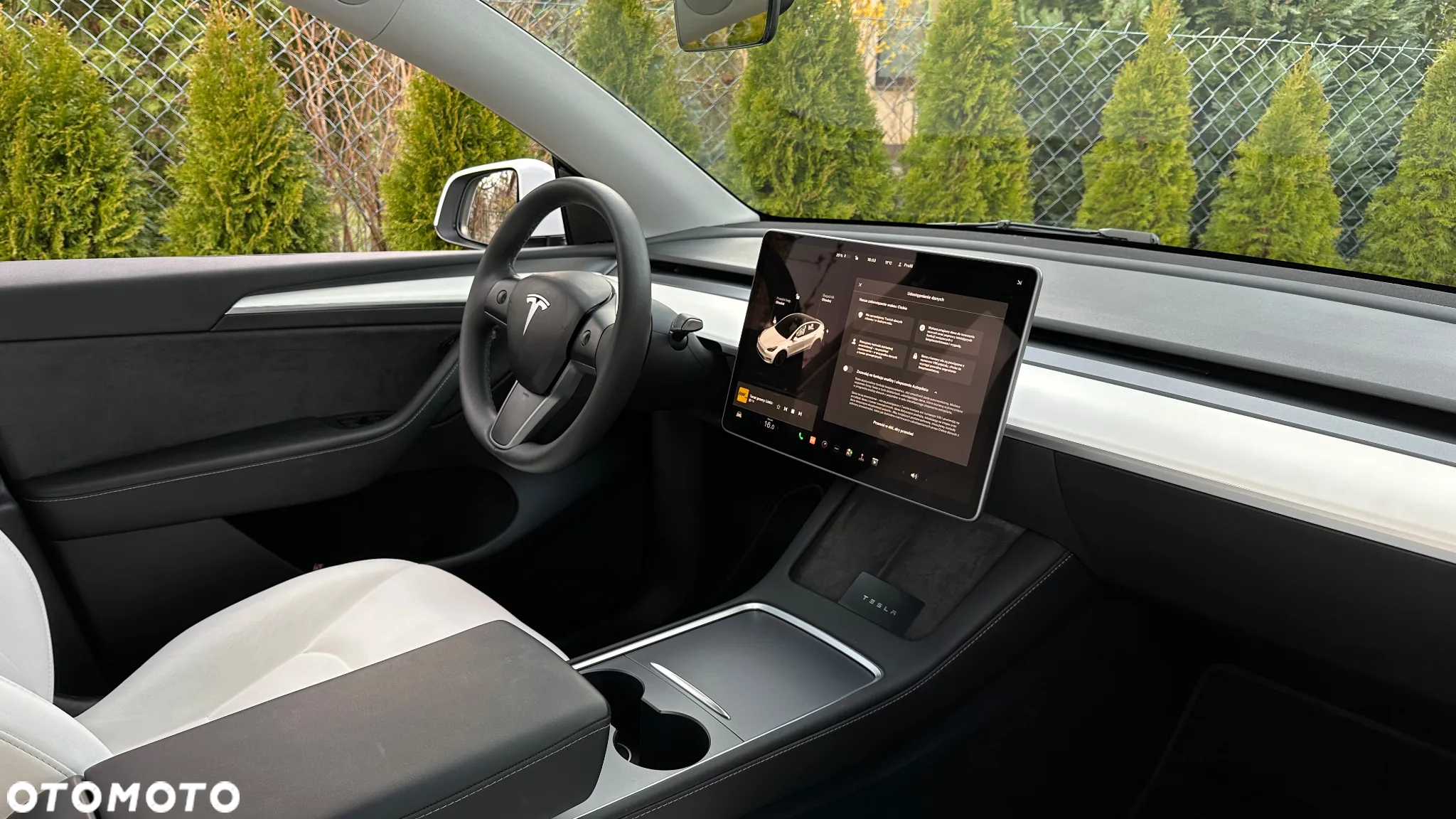 Tesla Y Model Performance Dual Motor AWD - 22