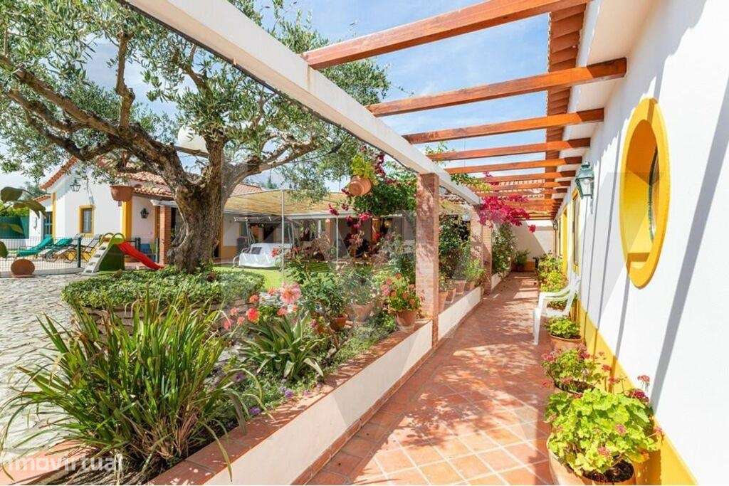 Quinta de Charme com 6.000 m2 — Póvoa da Isenta, Santarém - Grande imagem: 3/54