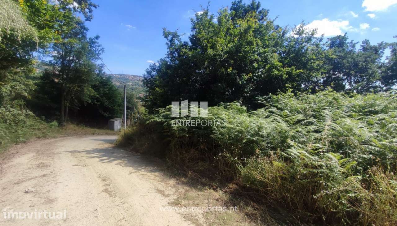 Venda Terreno com 6107m2, Soalhães, Marco de Canaveses - Grande imagem: 5/30