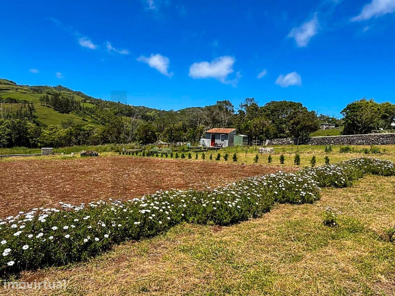 Terreno Rústico de 4850m2 - Santo Espírito, Vila do Porto - Grande imagem: 2/17