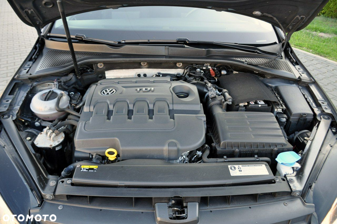 Volkswagen Golf - 38