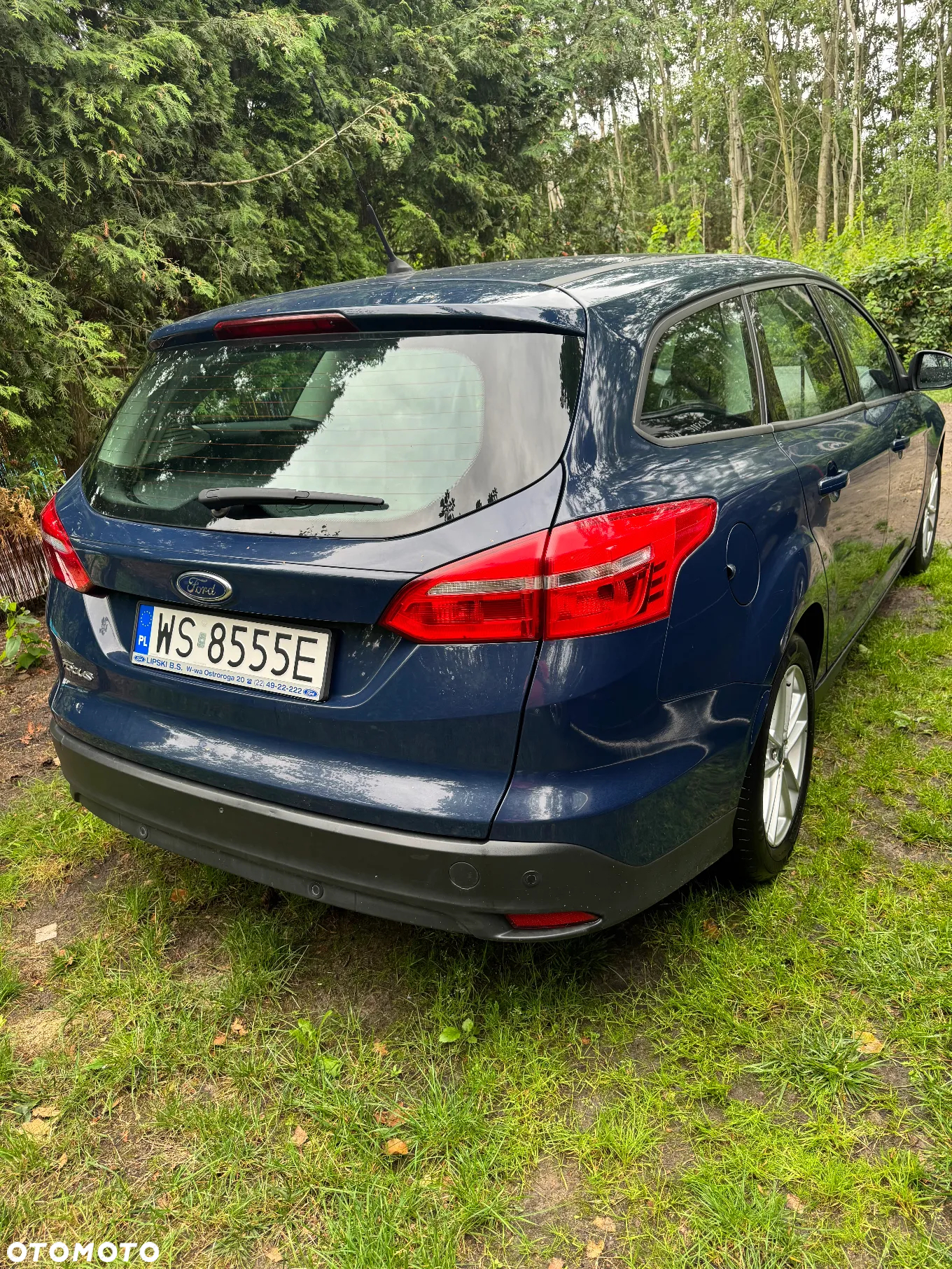 Ford Focus - 3