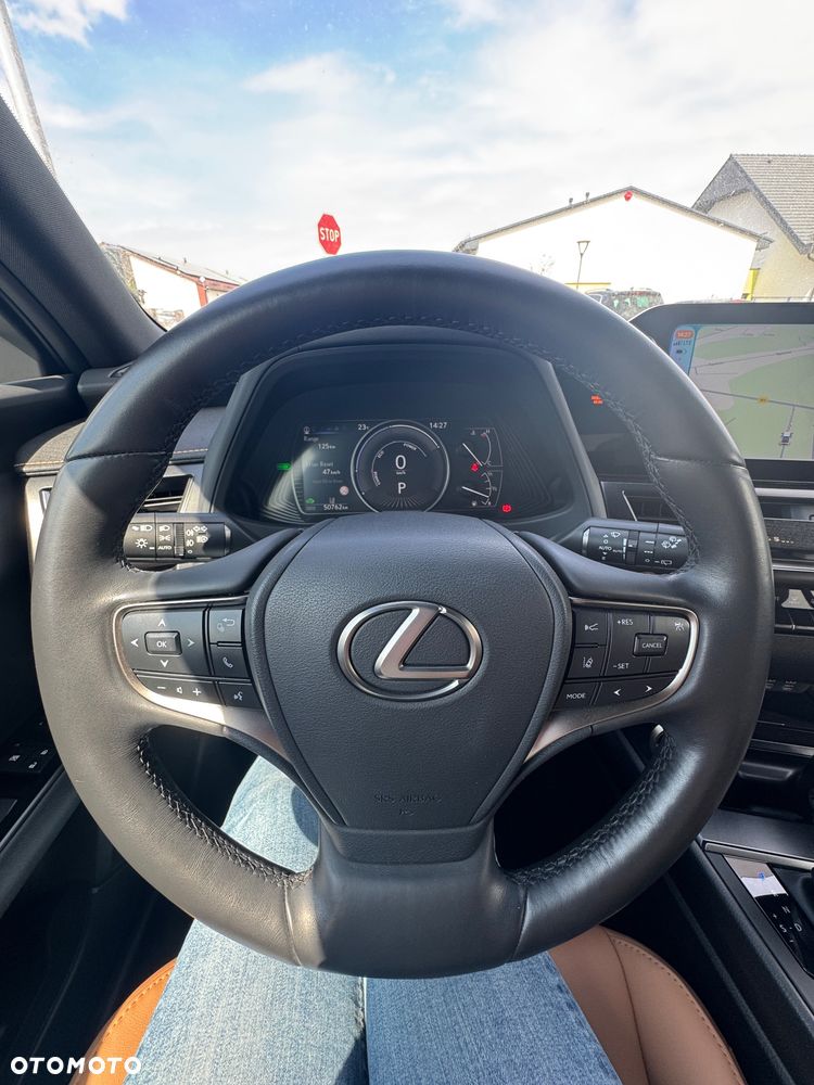 Lexus UX 250h F Sport 2WD - 18