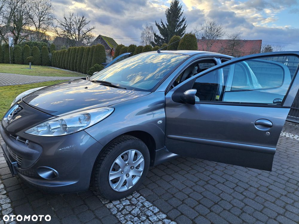 Peugeot 206 plus 60 - 25