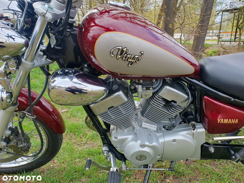 Yamaha Virago - 6