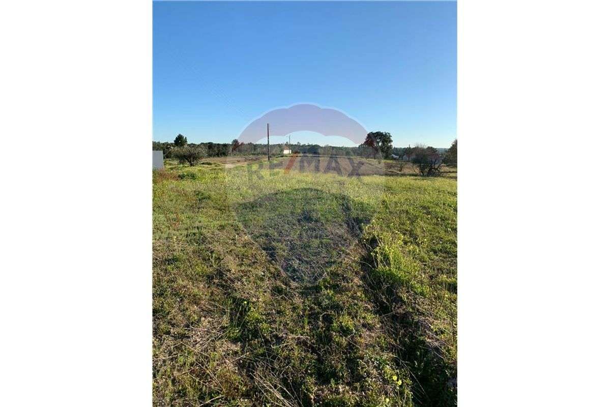 Terreno T0 para venda - Grande imagem: 4/8