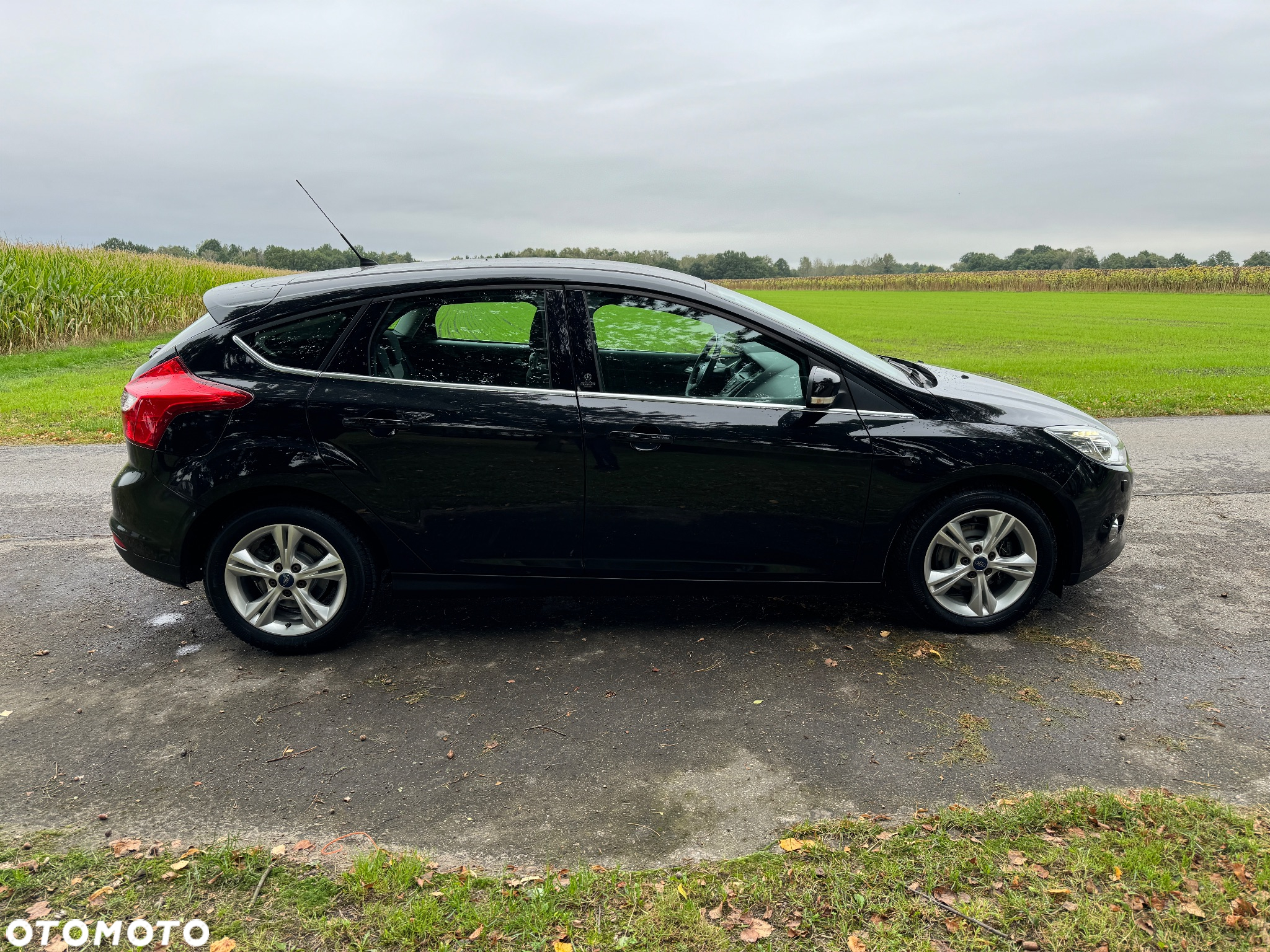 Ford Focus 1.6 Edition - 5