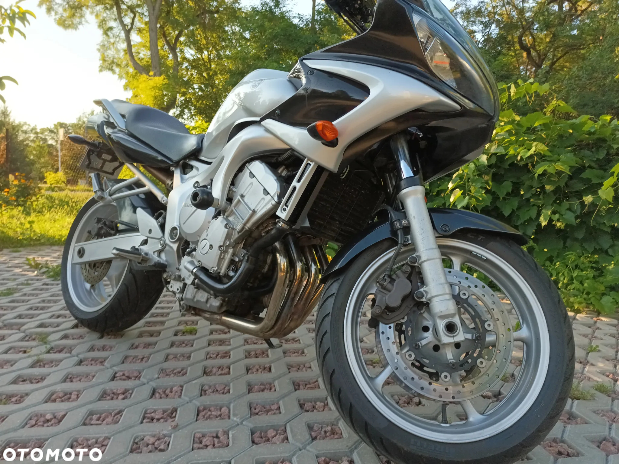 Yamaha FZ6 - 5