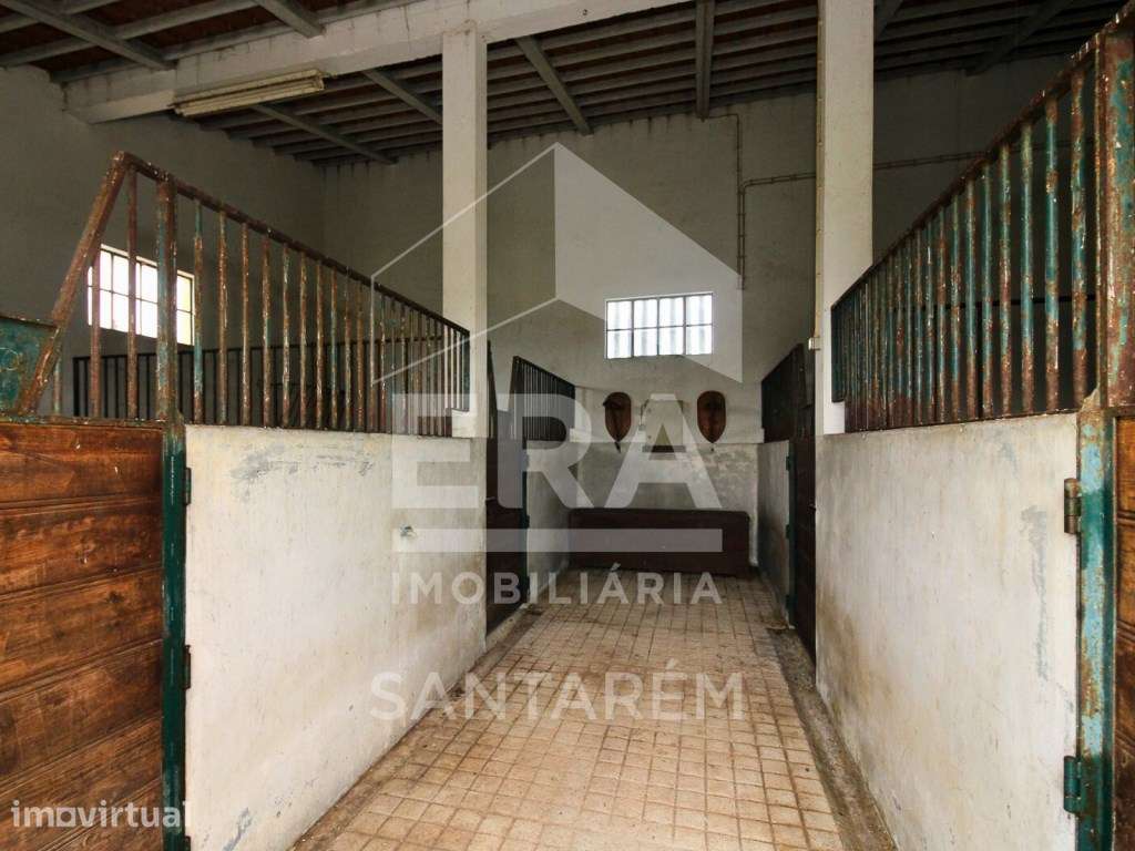 Moradia independente - Vale de Santarém - Grande imagem: 5/20