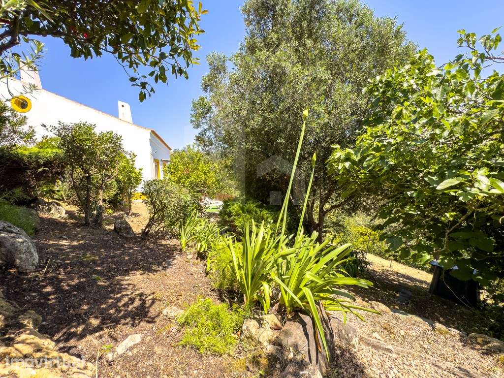 Vende Moradia T2+2 - Ericeira 19 km, A Casa das Casas - Grande imagem: 4/45