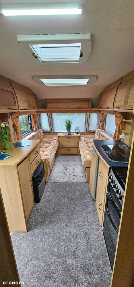 Avondale ARGENTE - 19