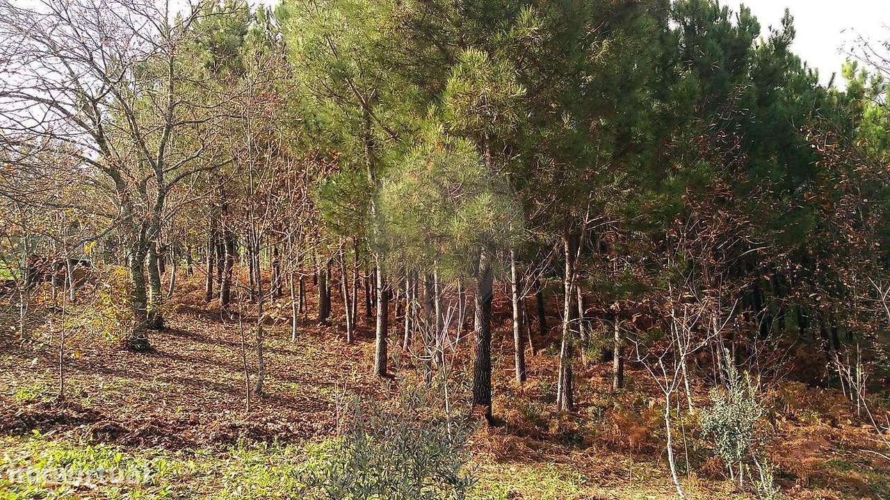 Terreno  para venda - Grande imagem: 2/3
