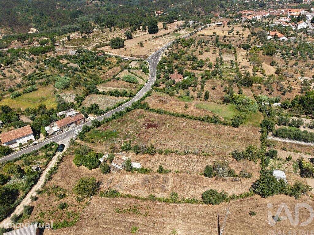 Terreno Agrícola em Carregal do Sal - Grande imagem: 3/7