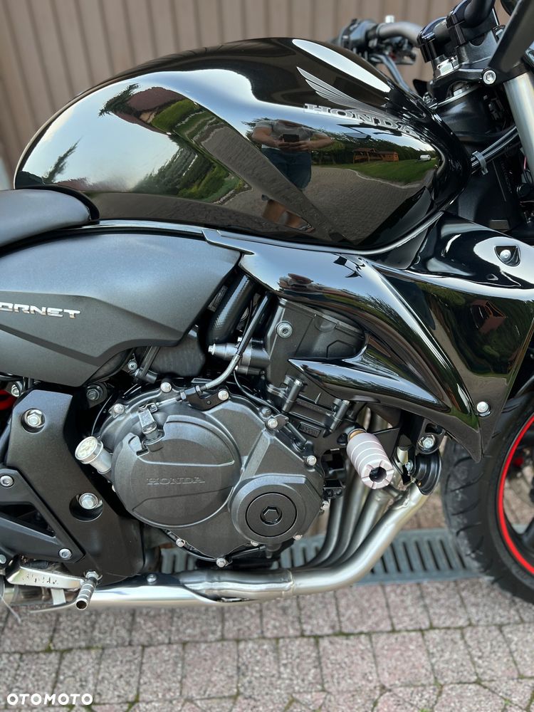 Honda Hornet - 10