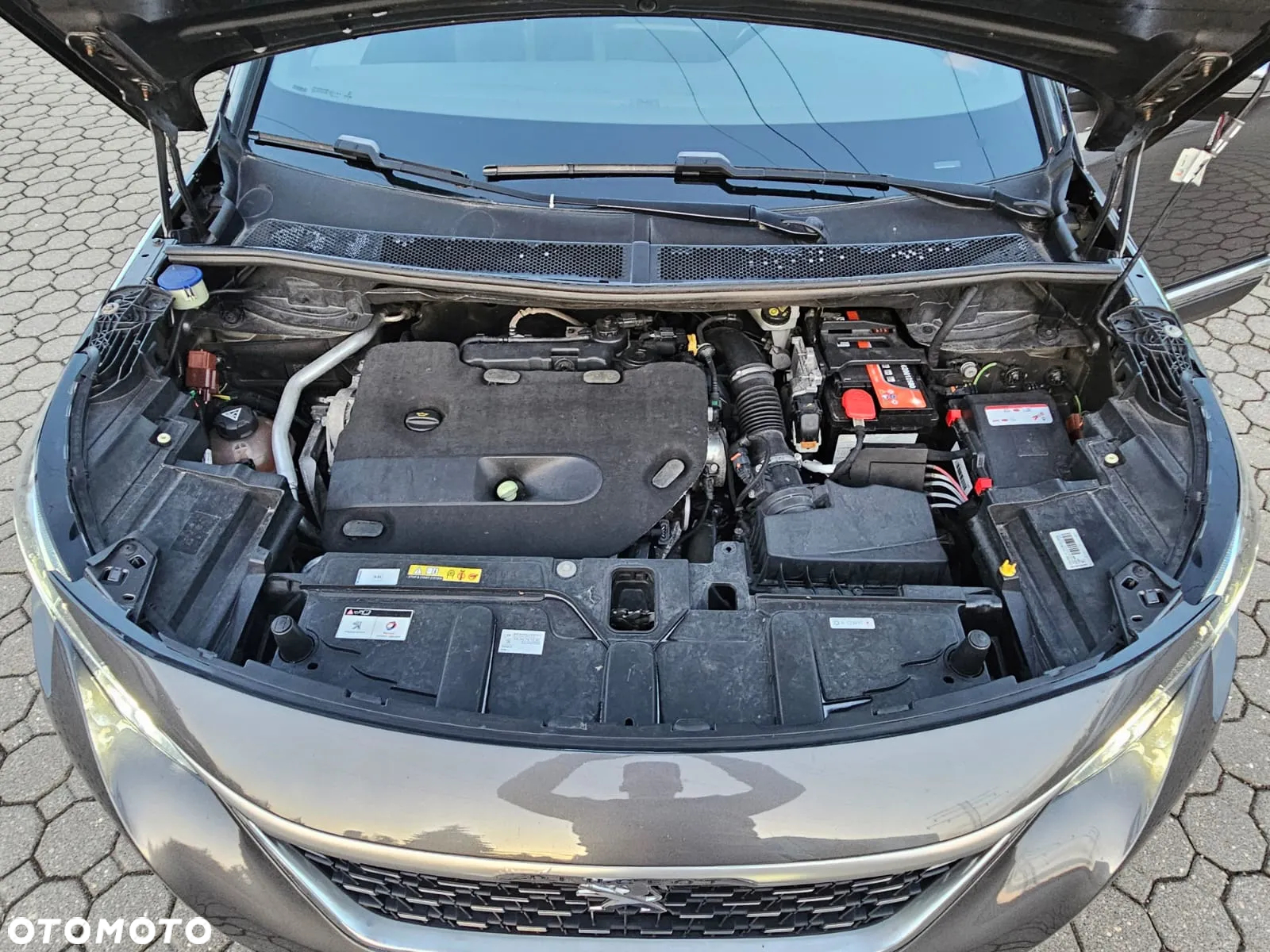 Peugeot 3008 BlueHDi 180 Stop & Start EAT8 GT - 20