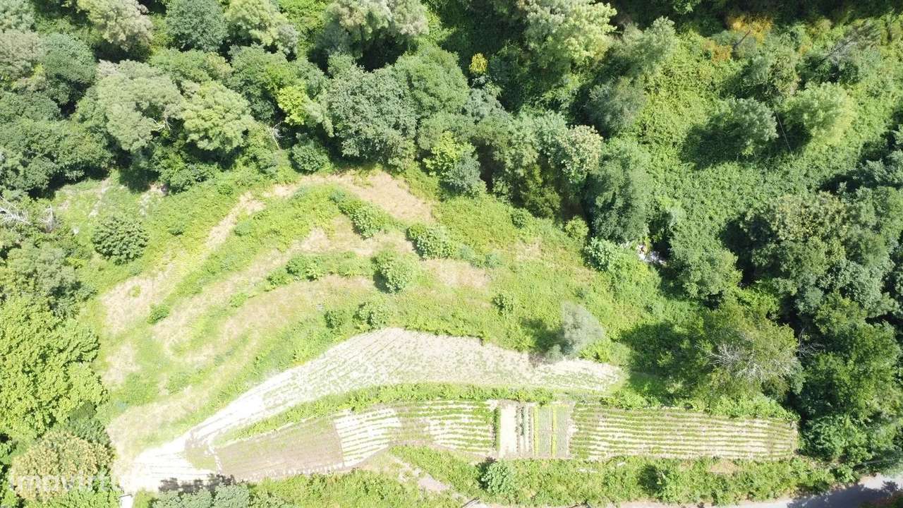 Terreno Agrícola com 5.695 m² em Chorense – Terras de Bouro - Grande imagem: 2/10