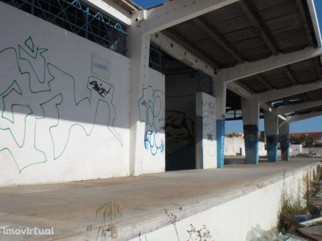 Terreno - até 100% Financiamento - Grande imagem: 4/6